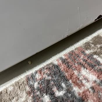 Vestel'den Aldığımız Buzdolabı Çok Fazla Ses Çıkartıyor