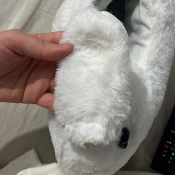 Twigy Pandufunda Garanti Reddi Ve Eksik Parça Sorunu