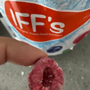 Geçerli Tarihli Dondurulmuş Meyve Ürününün Bozulması Ve Atılması