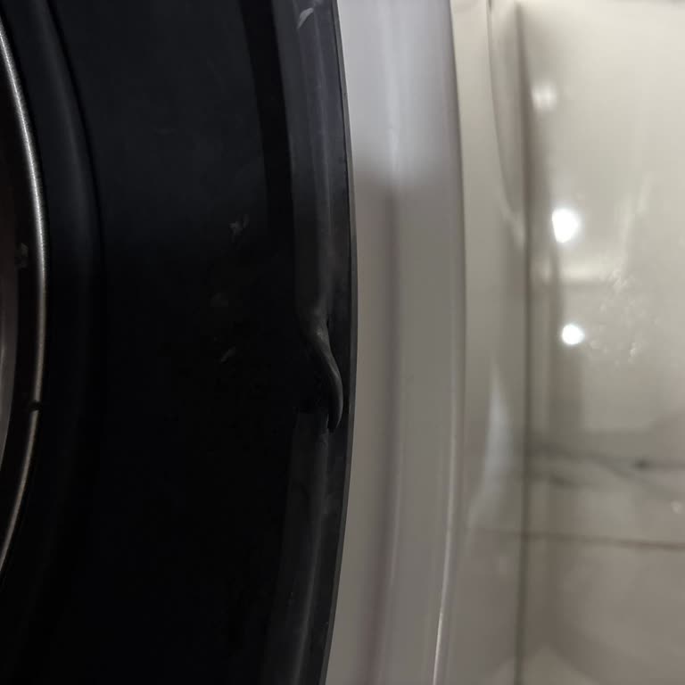 Yeni Bosch Çamaşır Makinesinin Plastik Körüğü Garanti Dışında Yırtıldı