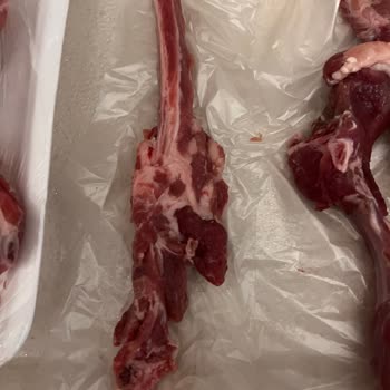 Migros Kalem Pirzola Siparişinde Kalitesiz Ürün Gönderildi