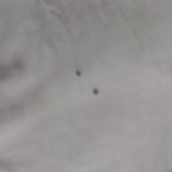 Hoover Çamaşır Makinem Siyah Lekelerle Çıkıyor Ve Servis Çözüm Sunmuyor