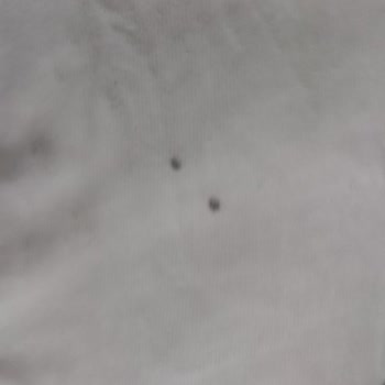Hoover Çamaşır Makinem Siyah Lekelerle Çıkıyor Ve Servis Çözüm Sunmuyor