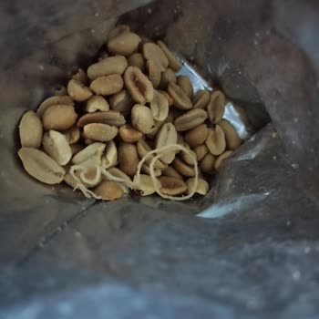 Yer Fıstığının İçinde Uzun Bir İp Çıktı: Hijyen Ve Güvenlik Endişesi