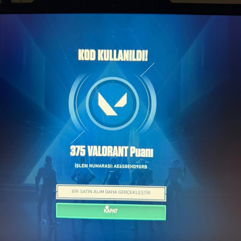 Ödenen 2925 VP Yüklenmedi Sadece 375 VP Geldi Canlı Destek Yardımsız