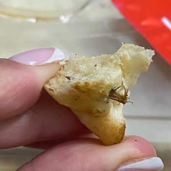 İzmir Bayraklı Kırçiçeği'nde Böcekli Pide Şoku