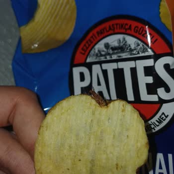 Pattes Cipsin Üzerinde Kanatlı Bir Böcek Fark Ettim