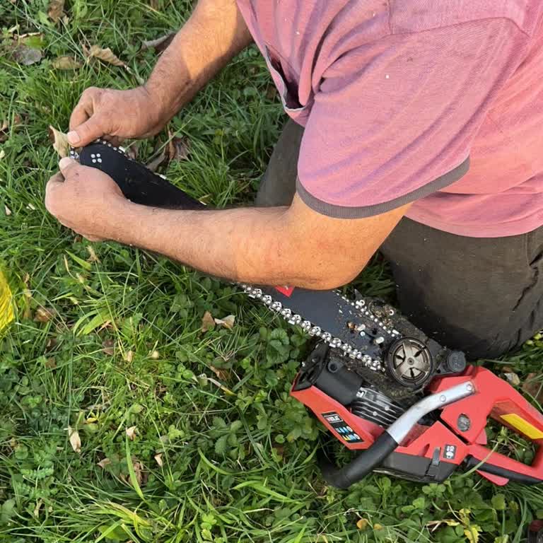 Motorlu Testerde Zincir Atma Sorunu ve Değişim Talebi