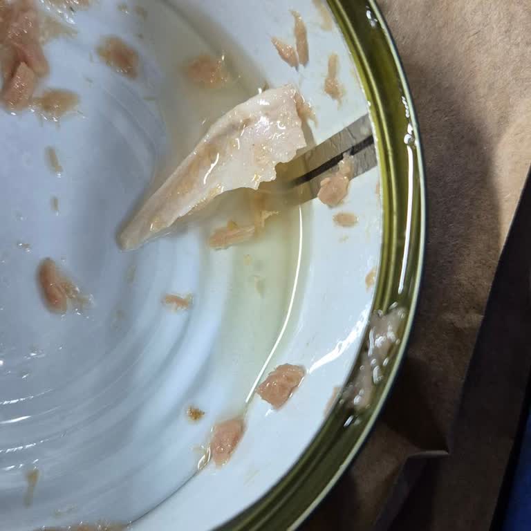 Ton Balığı Konservesinde Kemik Parçası, Sağlık Riski