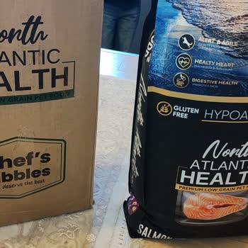 Küflü Köpek Maması, Köpeğimin Sağlığını Tehlikeye Attı Ve Firma Cevapsız