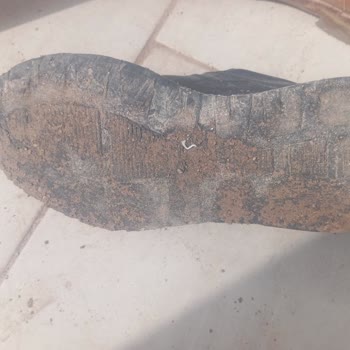 Greyder Spor Ayakkabısında Kısa Sürede Taban Sorunu Ve Değişim Talebi