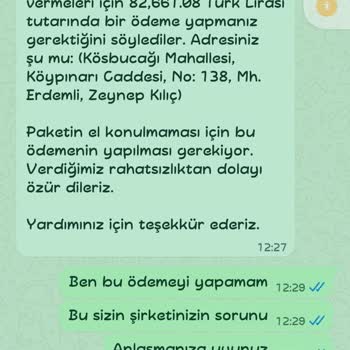 Sahte Gümrük Ve Kargo Teklifi Sonrası 43.000 TL Maddi Zarar Ve Banka Desteği Talebi