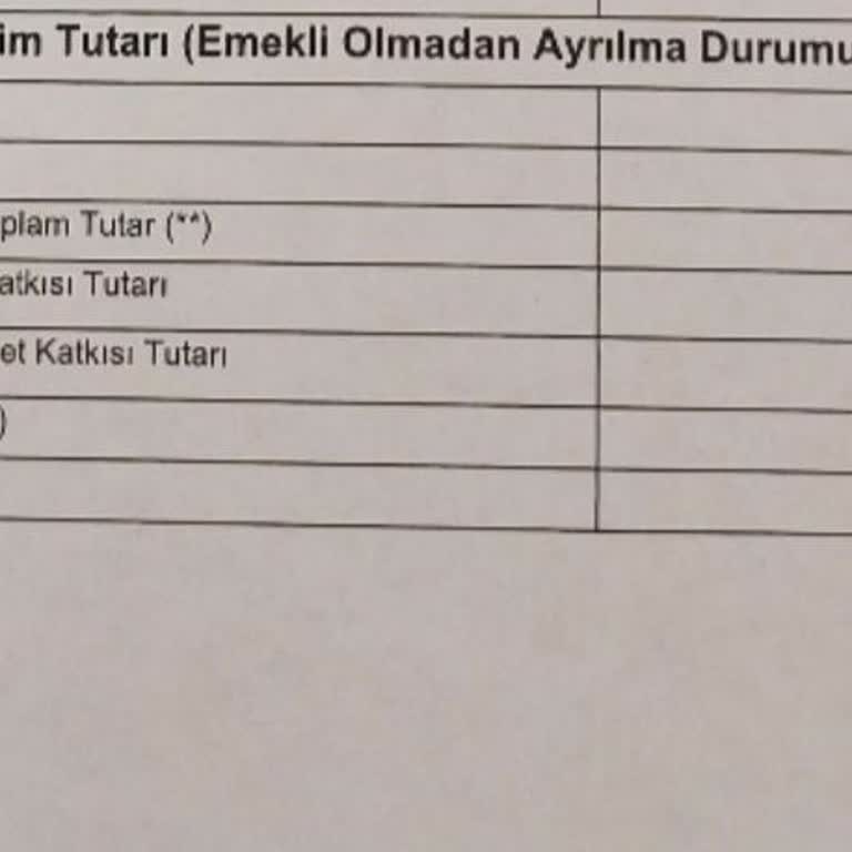 SMS Gelmemesi Ve Şifre Sorunları BES Ayrılma İşlemini Durduruyor