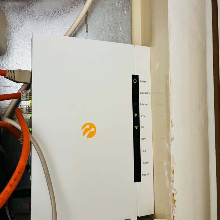 24 Saat Üzerinde Süren Kurumsal İnternet Kesintisi İş Yerinde Maddi Zarar Verdi