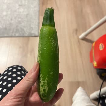 Arçelik Buzdolabında Sürekli Donma Ve Çözülmeyen Servis Problemleri