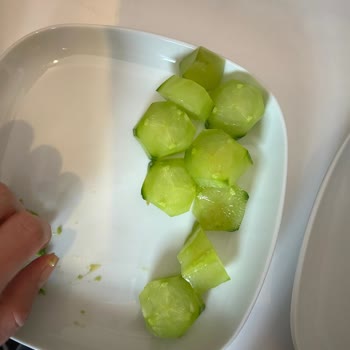 Arçelik Buzdolabında Sürekli Donma Ve Çözülmeyen Servis Problemleri