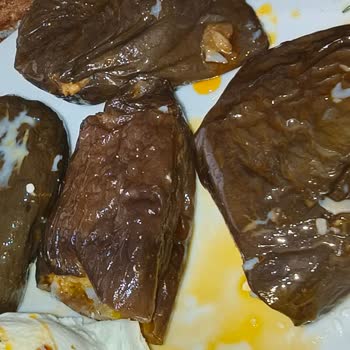 A101 Patlıcan Dolmasında Kıl Ve Tüy Bulunması Hijyen İhlali