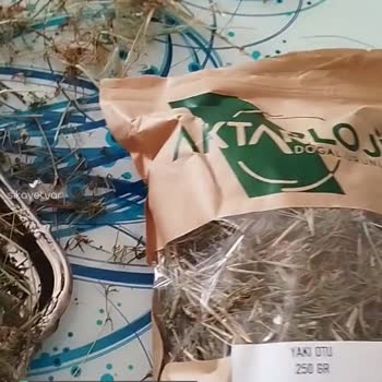 Aktarloji Doğal Ürünler Yakı Otu Gelmedi