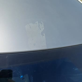 Cam Değişimi Sonrası Tavan Boyası Hasarı Yetkili Servis Tarafından Kabul Edilmedi