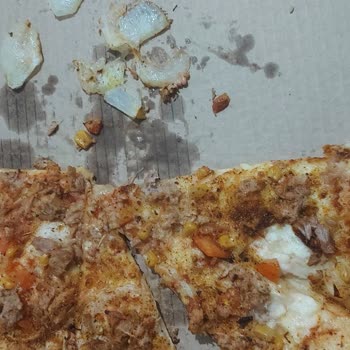 Yetersiz Pişmiş Ve Az Ton Balıklı Pizza İçin Ücret İadesi Talebi