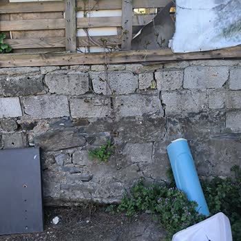 Ağacın Elektrik Hattına Yakın Düşme Tehlikesi Acil Müdahale Gerektiriyor