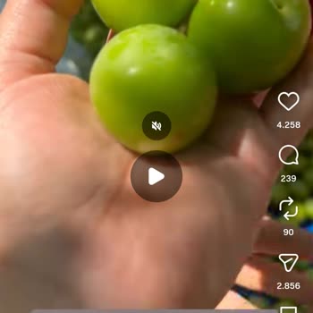 Instagram'dan Sipariş Edilen Papaz Erik Görsellerle Uyuşmuyor Ve İade Bekleniyor