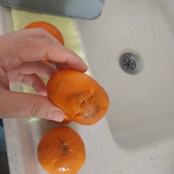 Migros Sanal Market’te Bozuk Sebzeler Tekrarlıyor Ve Ücret İadesi Talebi