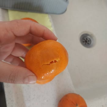 Migros Sanal Market’te Bozuk Sebzeler Tekrarlıyor Ve Ücret İadesi Talebi