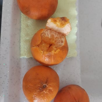 Migros Sanal Market’te Bozuk Sebzeler Tekrarlıyor Ve Ücret İadesi Talebi