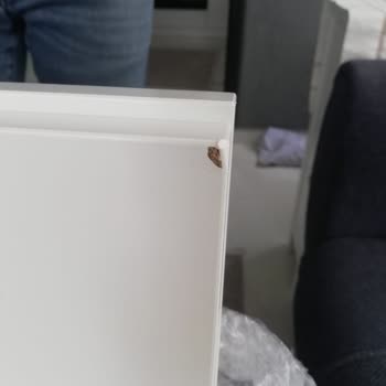 IKEA'dan Gelen Masada Sürekli Hasar Ve İade Sorunu