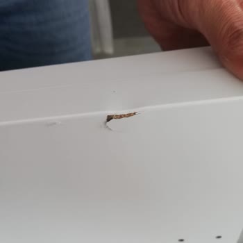 IKEA'dan Gelen Masada Sürekli Hasar Ve İade Sorunu