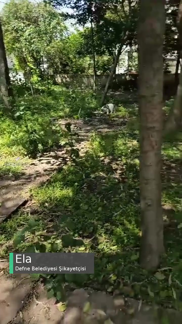 Defne Belediyesi Çocuk Parkı Kendi Kaderine Bırakılmış videonun kapak resmi