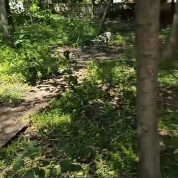 Defne Belediyesi Çocuk Parkı Kendi Kaderine Bırakılmış