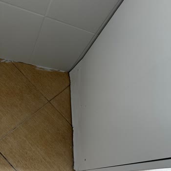 Servis Hortumu Gevşek Bağladı, Dolaplar Şişti Ve Şirket Sorumluluğu Reddetti