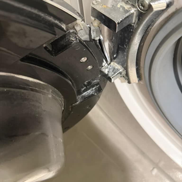 Ön Kapak Kırılması Ve Servis Gecikmesi Nedeniyle Acil İkame Çamaşır Makinesi Talebi