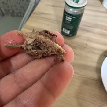 Knorr Beyran Çorbasında Yanıltıcı İçerik: Sadece Sinir Ve Damar Parçaları