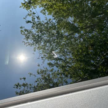 İzinsiz Kuaför İşlemi, Aşırı Ücret Ve Kalitesiz Yıkama Şikayeti