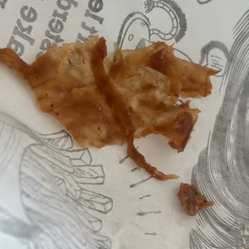 Geç Gelen Soğuk Ve Yanmış Burger Siparişinde İade Ve Açıklama Talebi