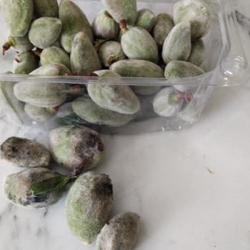 Trendyol GO siparişindeki ürün hataları ve iade talebi