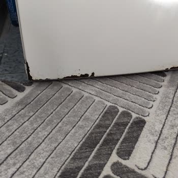 Profilo Buzdolabında Ön Kapaklarda Boya Atması Ve Paslanma