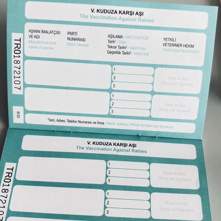 Allianz Sevimli Dostum Sigortası Şikayeti