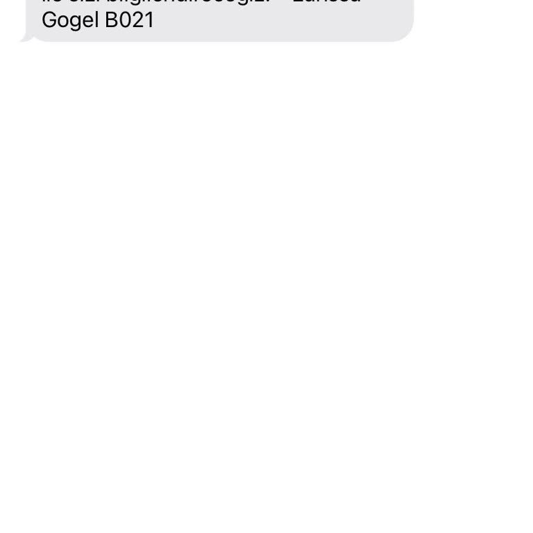 Larissa Gogel Kızımın Doğum Gününe Yakın Siparişin Kargoya Verilmemesi ve Cevapsız İletişim