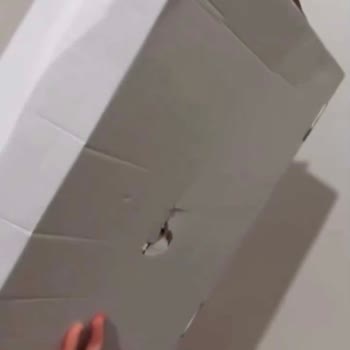 Hasarlı Kargo Teslimatı Ve Tazmin İstemi