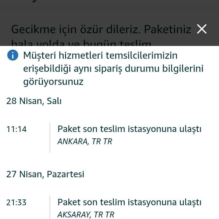 Kedim İçin Acil Mama Gecikmesi Ve Prime Teslimat Sözünün İhlali