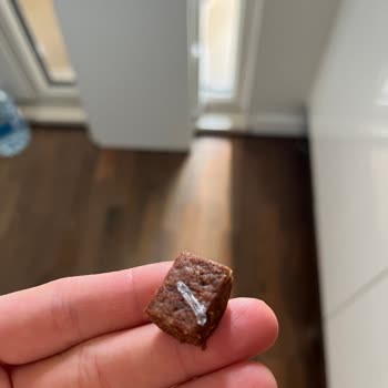 Humm Marka Havuçlu Tarçınlı Kekte Plastik Parça Şoku
