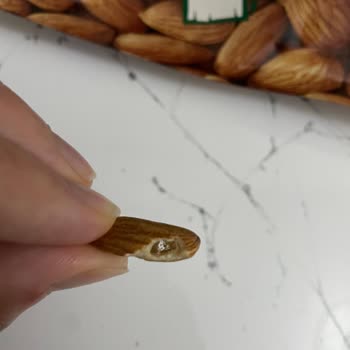Migros’un Kendi Markalı Çiğ Bademlerinde Böceklenme Ve Sağlık Riski