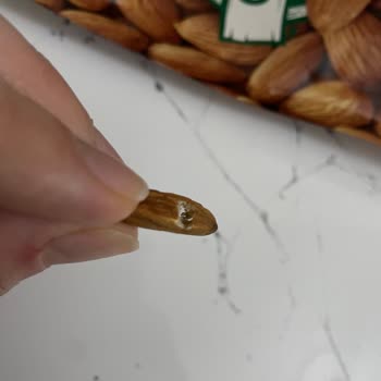 Migros’un Kendi Markalı Çiğ Bademlerinde Böceklenme Ve Sağlık Riski