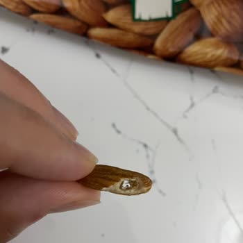 Migros’un Kendi Markalı Çiğ Bademlerinde Böceklenme Ve Sağlık Riski