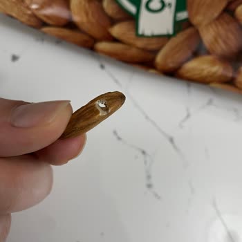 Migros’un Kendi Markalı Çiğ Bademlerinde Böceklenme Ve Sağlık Riski