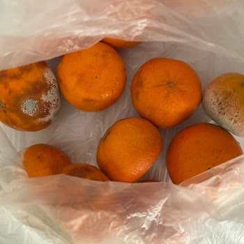 Migros'tan Çürük Ve Lekeli Mandalinalar, Destek Talebime Cevap Gelmedi